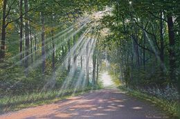 Painting, Sunlit Path, Stepan Ohanyan